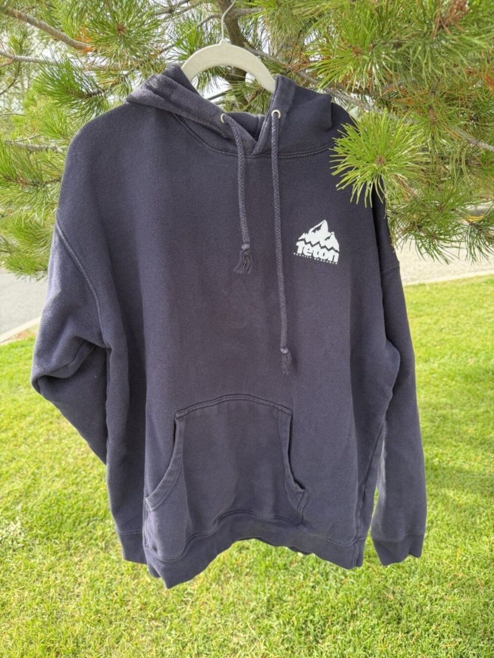 TETON GRAVITY RESEARCH blue double-sided gorpcore loungewear hoodie XL graphic